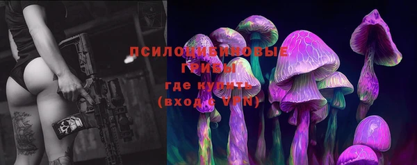 кристаллы Бородино