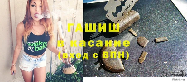 индика Верхний Тагил