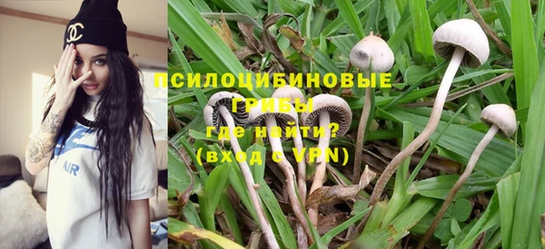 индика Верхний Тагил