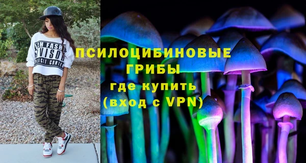 индика Верхний Тагил
