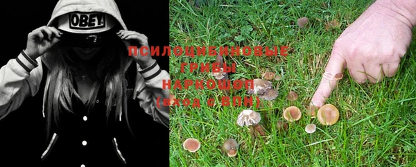 индика Верхний Тагил