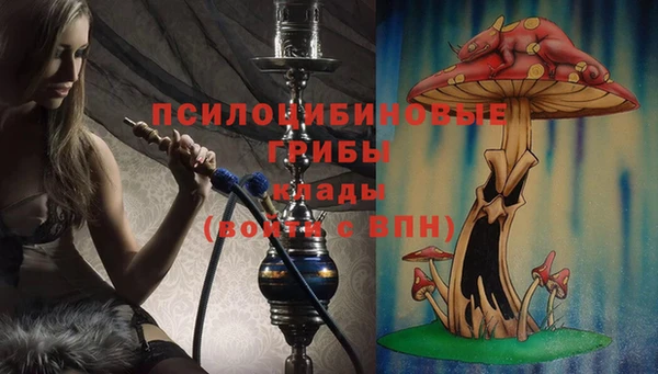 ALPHA PVP Богданович