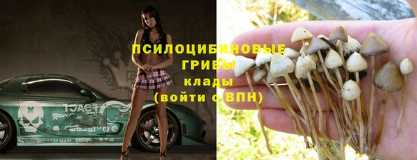 индика Верхний Тагил